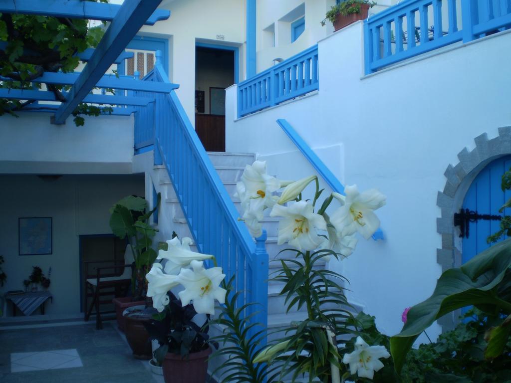 安尼克斯酒店 Naxos City 外观 照片