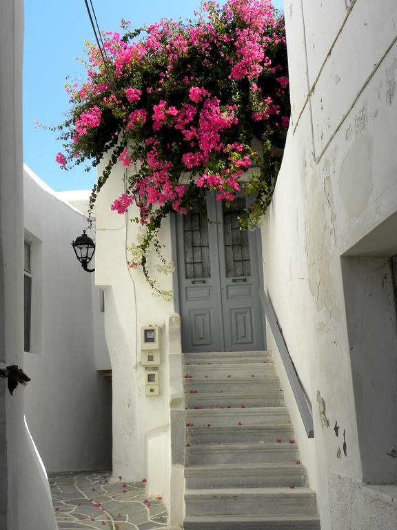 安尼克斯酒店 Naxos City 外观 照片