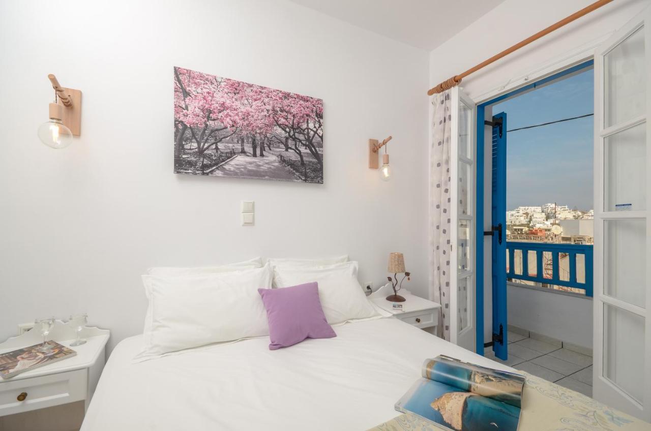 安尼克斯酒店 Naxos City 外观 照片